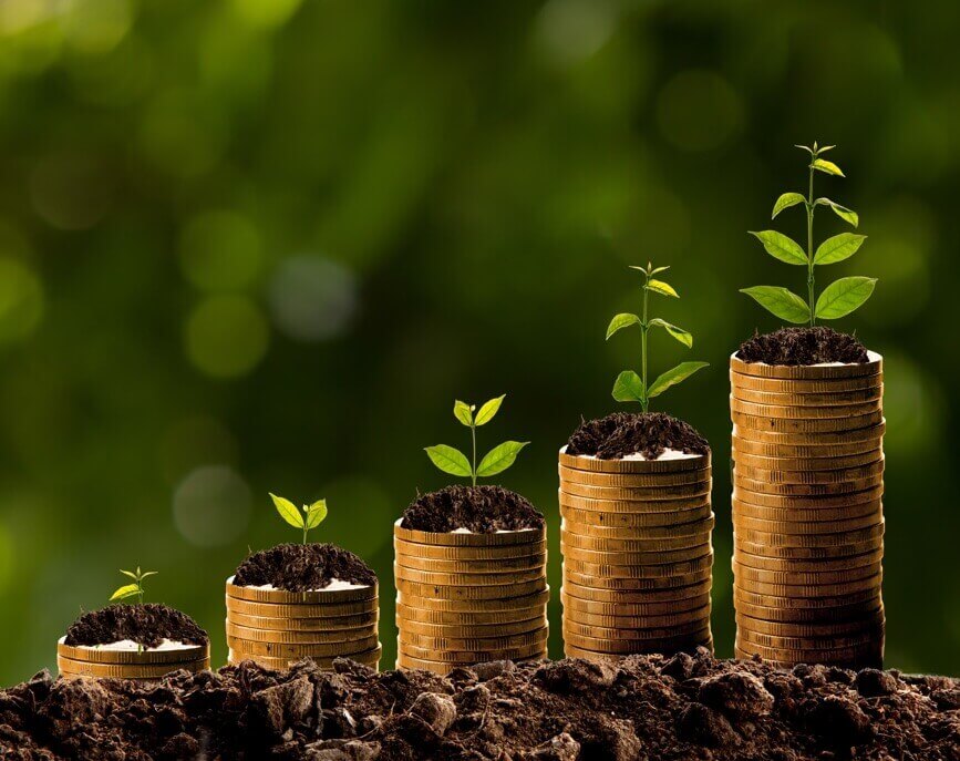سلف Green Invest